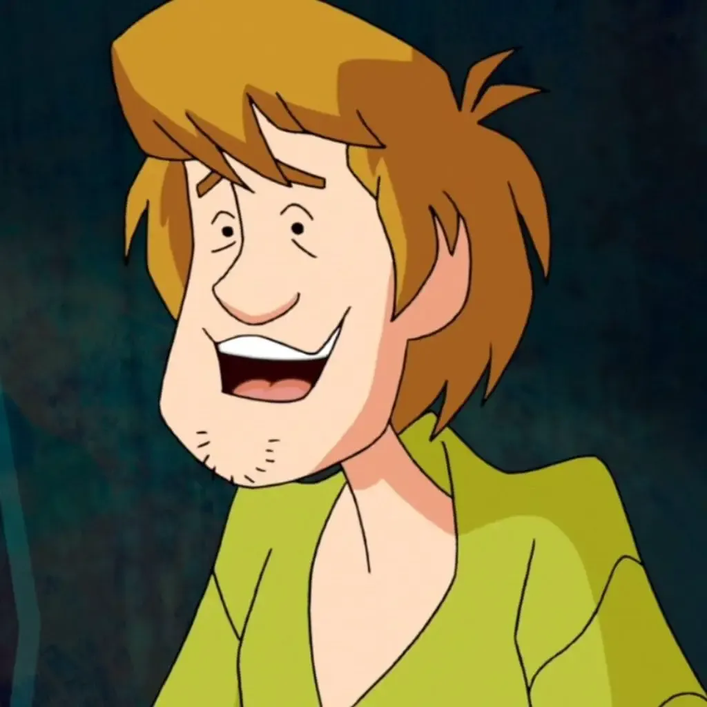 Shaggy (Scooby-Doo) Costume For Cosplay & Halloween 2024