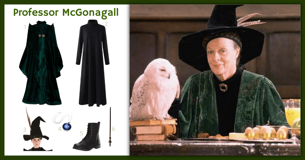 Professor McGonagall (Harry Potter) Costume For Cosplay & Halloween 2024