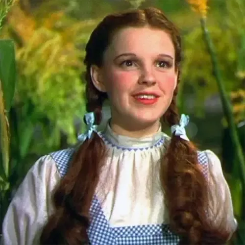 Dorothy Gale Costume