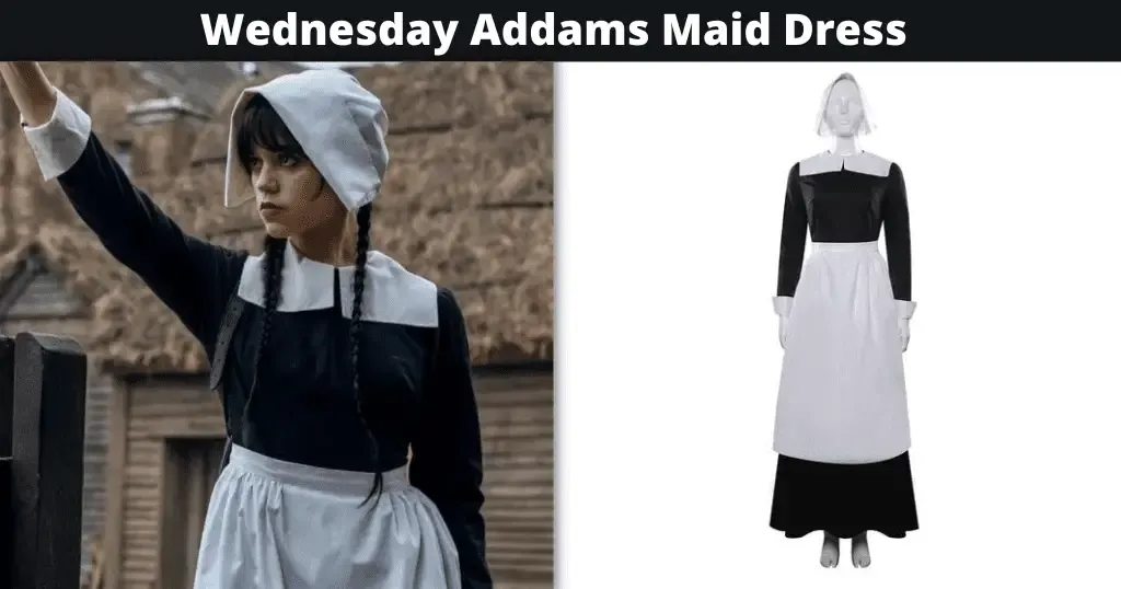 Wednesday Addams Maid Dress