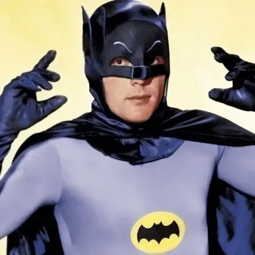 Batman (Adam West) Costume