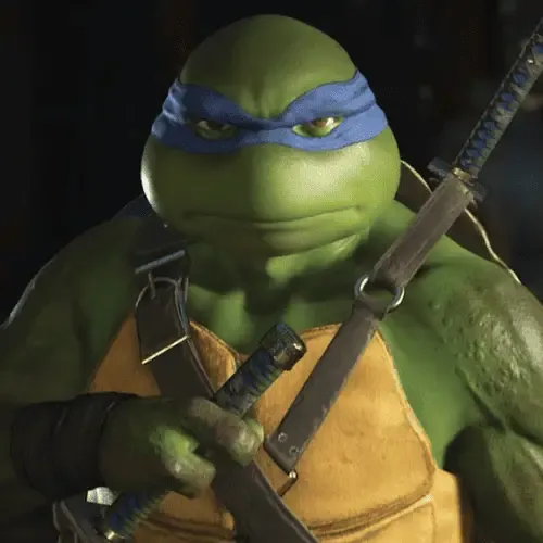 Ninja Turtles costume