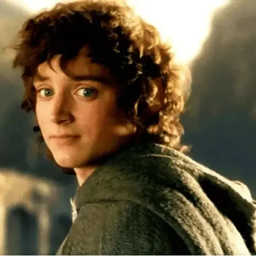 Frodo Baggins Costume