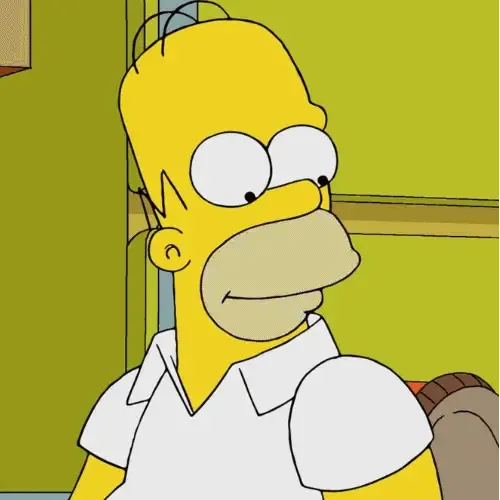 Homer Simpson costume